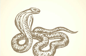 The Devil Comes to Steal, Kill, and Destroy—and What This Says about False Teaching