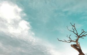 What Is a Eunuch in the Bible?